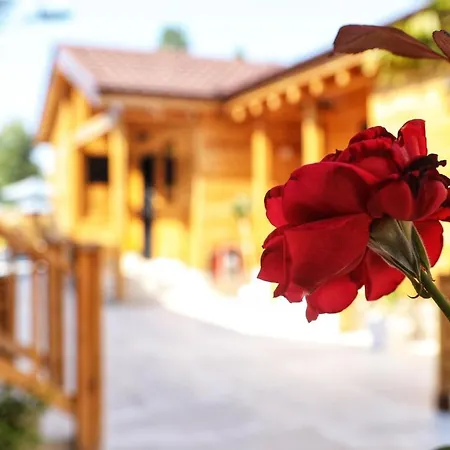 Bujtina Siar Pensjonat Pogradec