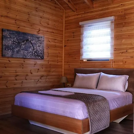 בית הארחה Bujtina Siar 3*