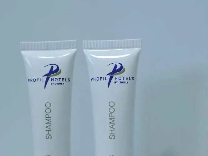 Bujtina Siar 3* 포그라데츠